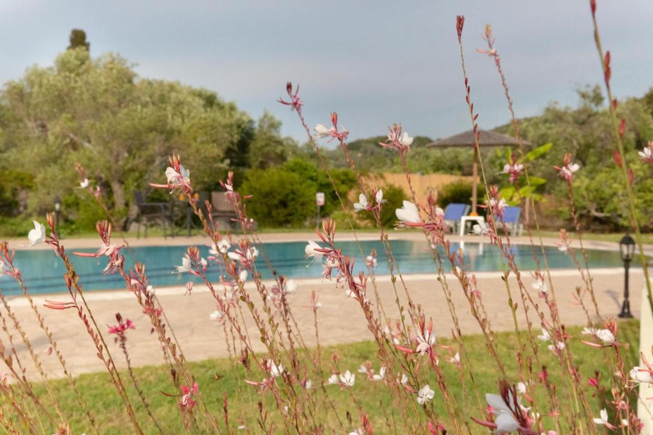 Villa Adonis Halikounas Exteriör bild